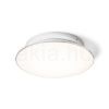 Kép MARA mennyezeti lámpa tej akril/króm 230V LED 24W 3000K