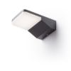 Kép VIRGO fali lámpa antracitszürke 230V LED 9W IP65 3000K