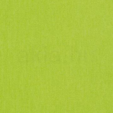 Kép RON 55/30 lámpabúra  Chintz lime/fehér PVC  max. 23W