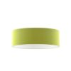 Kép RON 60/19 lámpabúra  Chintz lime/fehér PVC  max. 23W