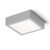 Kép SCOTT mennyezeti lámpa ezüstszürke 230V LED 9.8W IP54 3000K