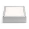 Kép SCOTT mennyezeti lámpa ezüstszürke 230V LED 9.8W IP54 3000K