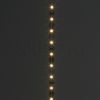 Kép LED STRIP IP20 5m    12V= LED 60W  3000K