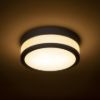 CIRA LED 23 mennyezeti lámpa opál üveg/fekete 230V LED 12W IP44 3000K
