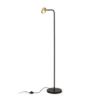 FLYNN I állólámpa  fekete/szálcsiszolt sárgaréz 230V LED GU10 9W