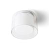 VENICE 23 mennyezeti lámpa  tiszta üveg/opál üveg/króm 230V LED E27 11W IP44