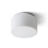 ARANA R 27 mennyezeti lámpa  opál üveg/króm 230V LED E27 15W IP44