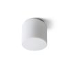 ARANA R 17 mennyezeti lámpa  opál üveg/króm 230V LED E27 11W IP44
