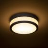 CIRA LED 23 mennyezeti lámpa opál üveg/fekete 230V LED 12W IP44 3000K