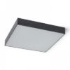 LARISA SQ 40 mennyezeti lámpa fekete 230V LED 50W 3000K