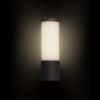 GARRET fali lámpa antracitszürke 230V LED 15W IP65 3000K